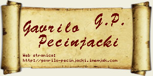 Gavrilo Pecinjački vizit kartica
